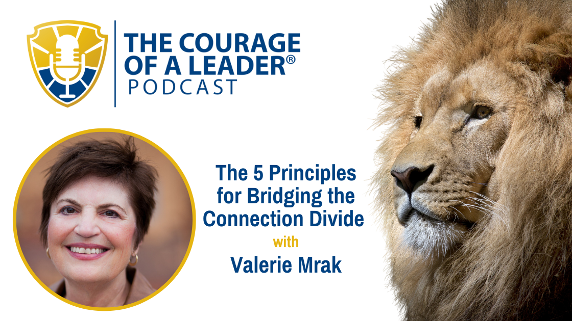Read more about the article The 5 Principles for Bridging the Connection Divide | Valerie Mrak